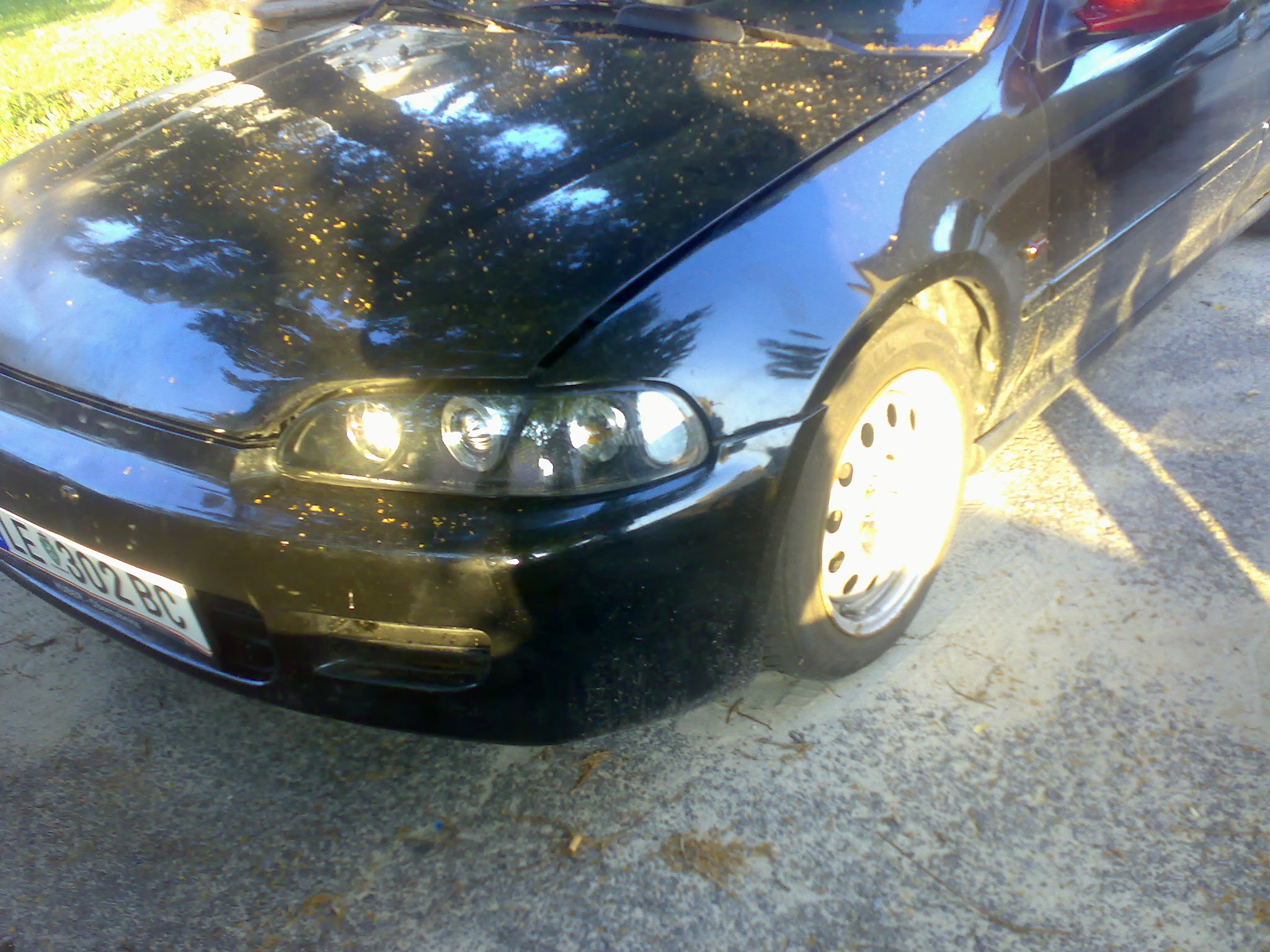 01072010155.jpg