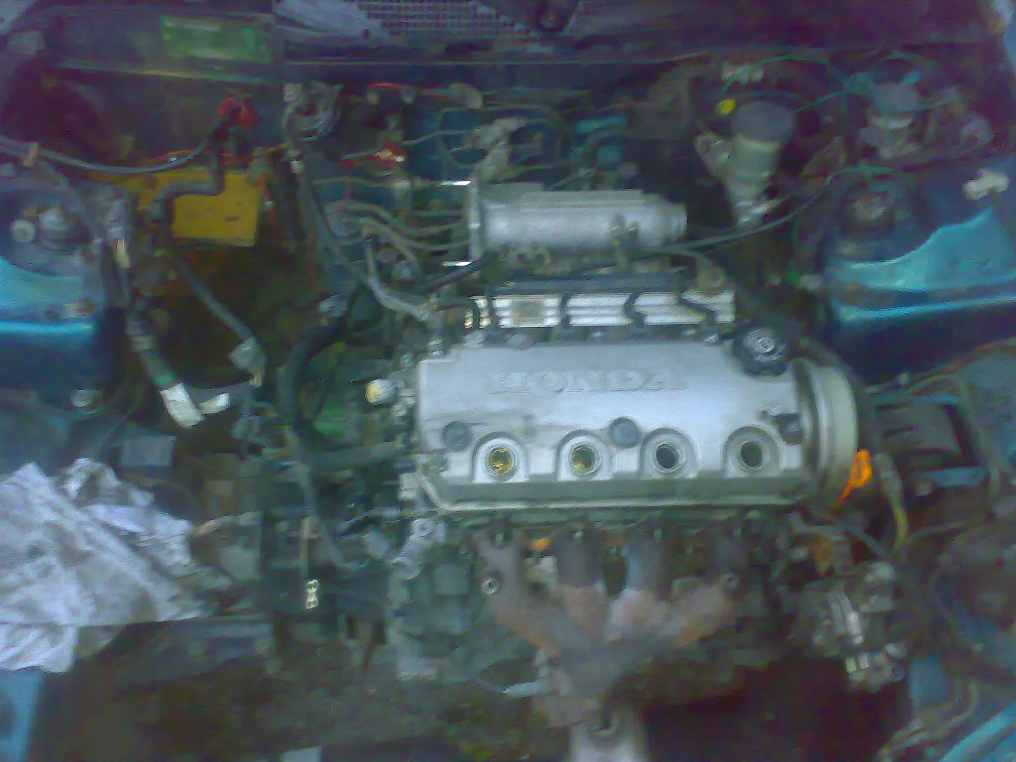 01072010168.jpg