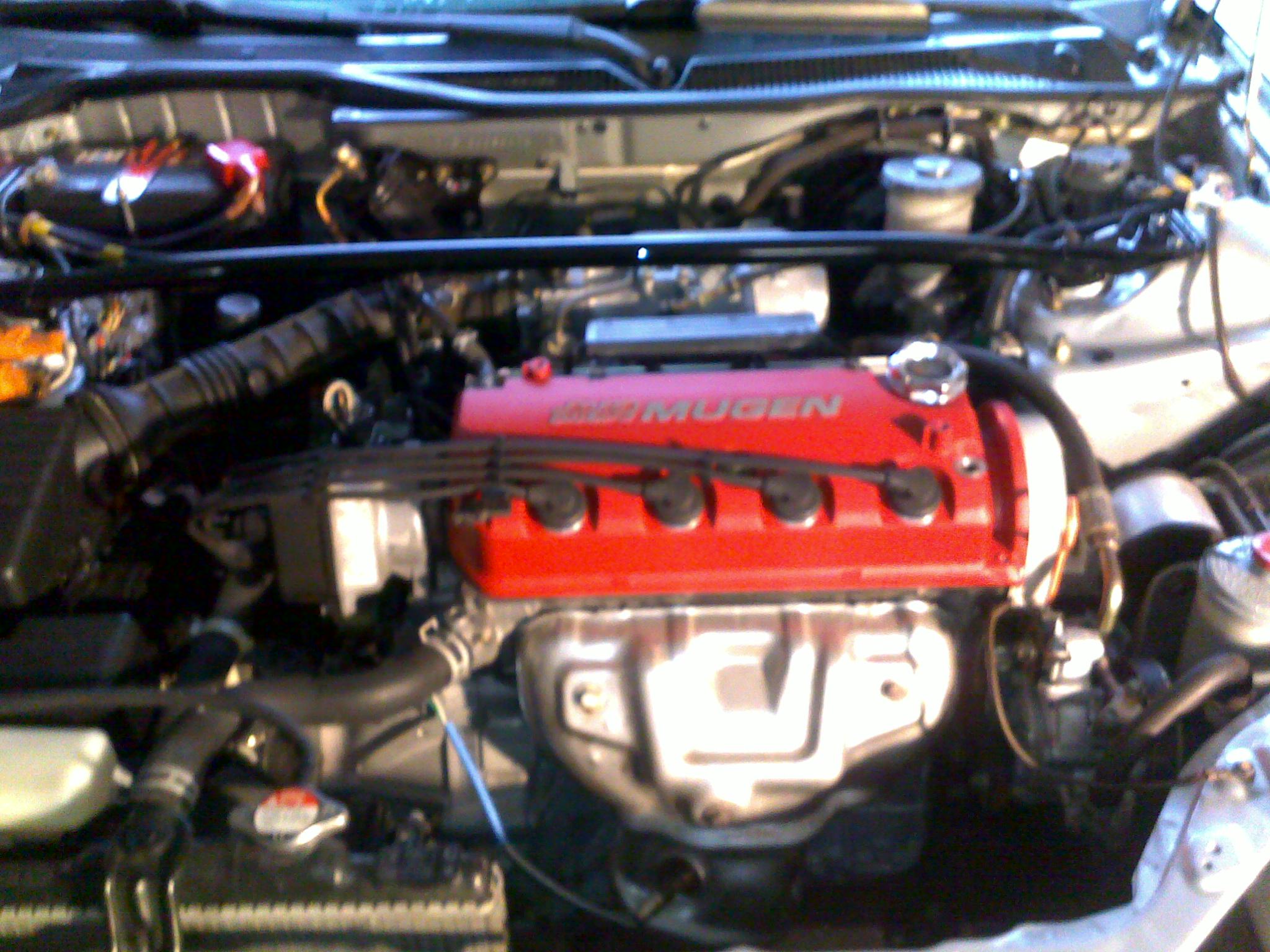 03072010279.jpg