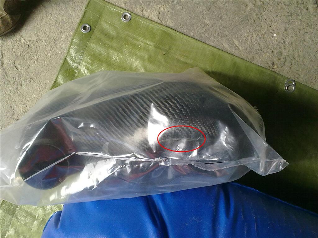 25072010085 (Large).jpg