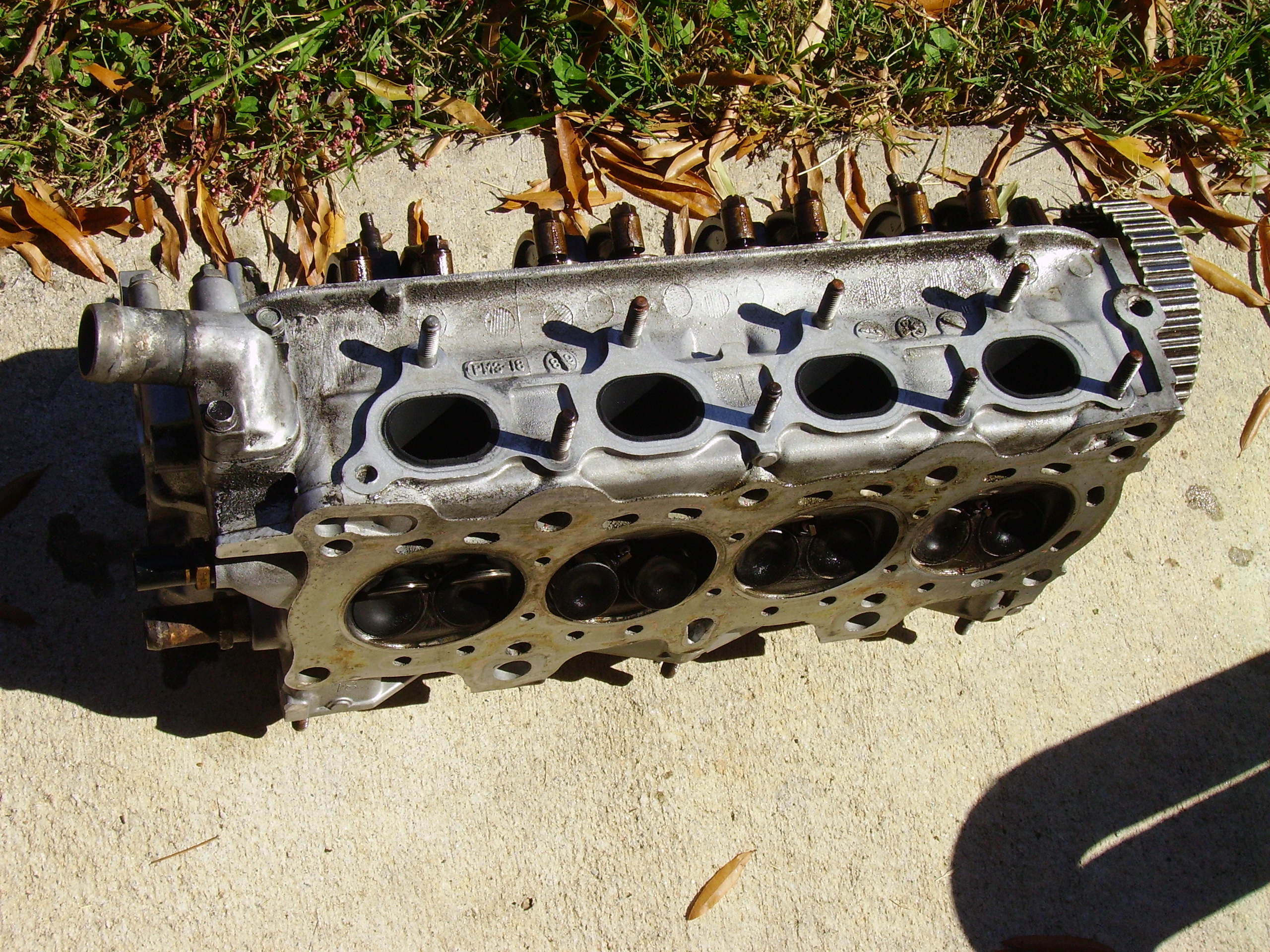 a6head1.jpg