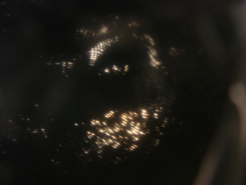 DSC04733 (Medium).JPG