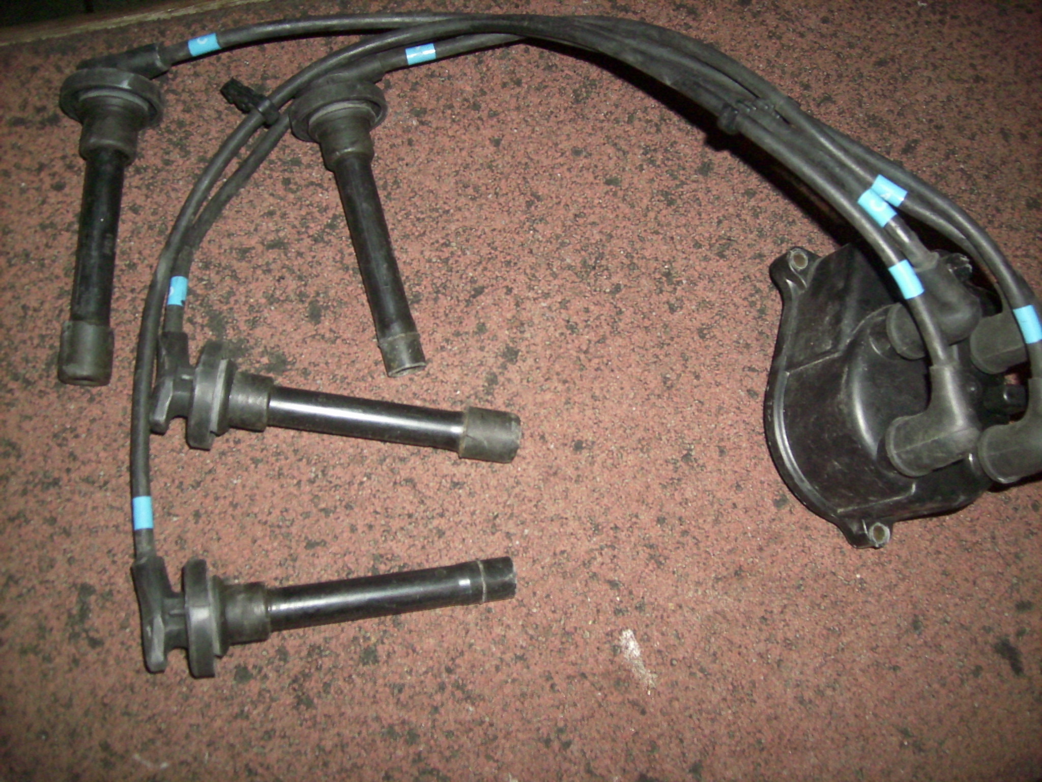 DSCI3186.JPG