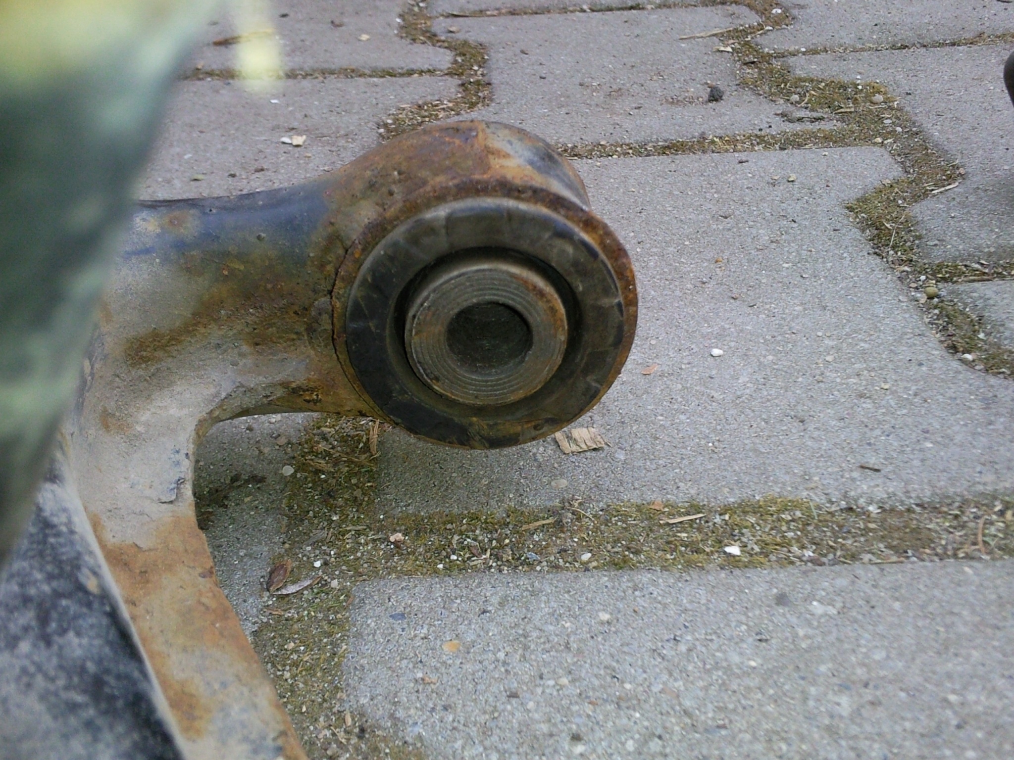 Foto365.jpg