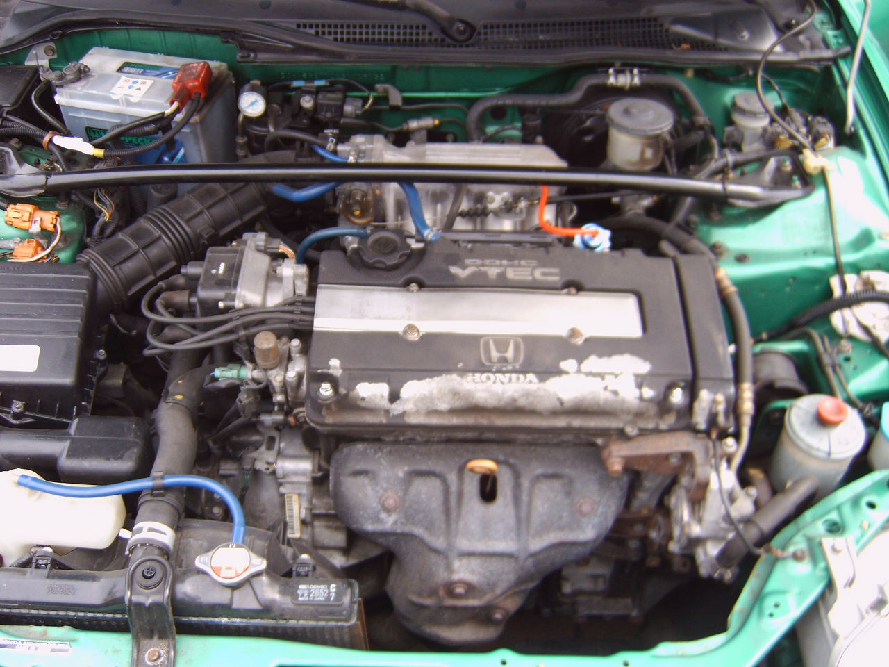 IMG00208.JPG
