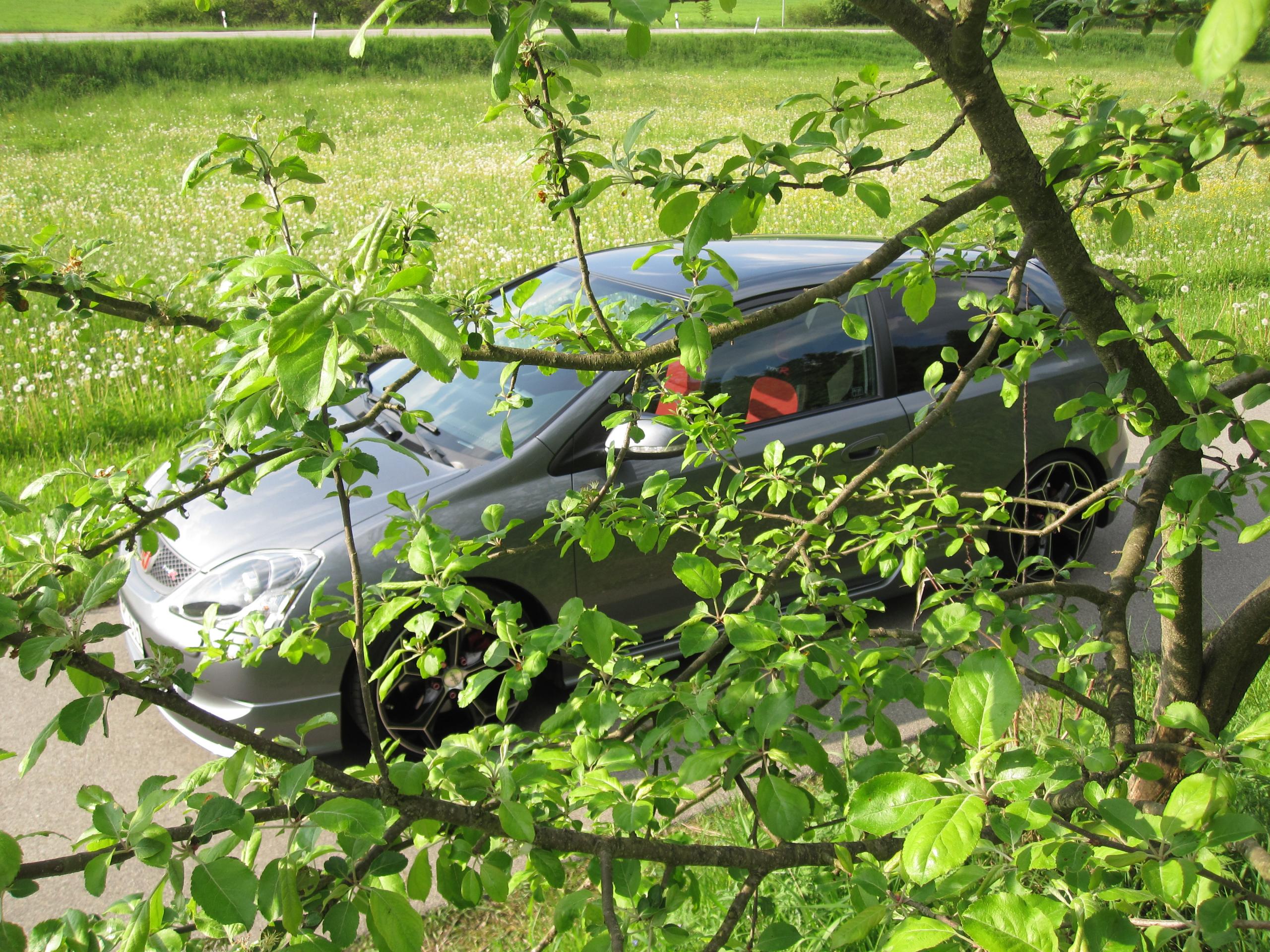 IMG_1620.JPG