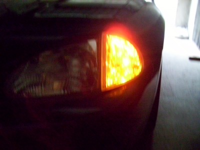 100_0814.JPG