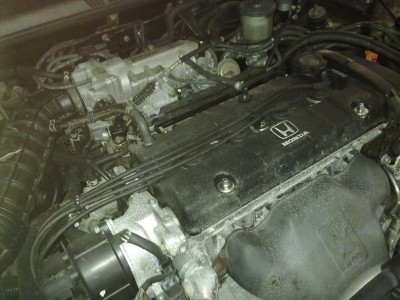 24072010066.jpg