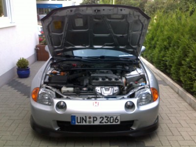 30062010256.jpg