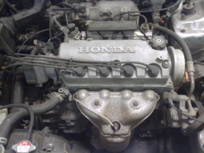 30072010049.jpg