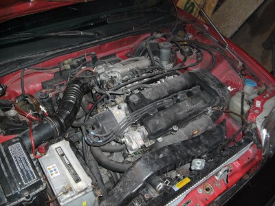 BILD0007.JPG