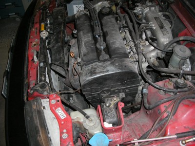BILD0010.JPG