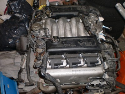 CIMG0964.JPG