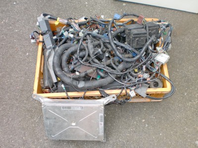 CIMG0970.JPG