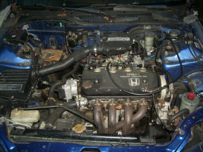 DSCI2972.JPG
