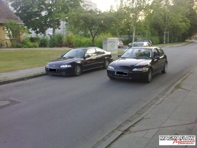 Hondas.JPG
