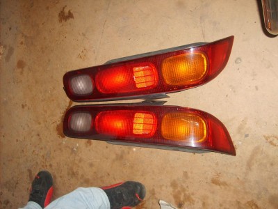 SD533537.JPG