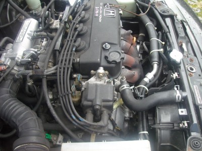 SDC14741.JPG