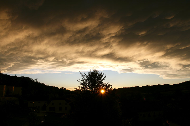 06.jpg