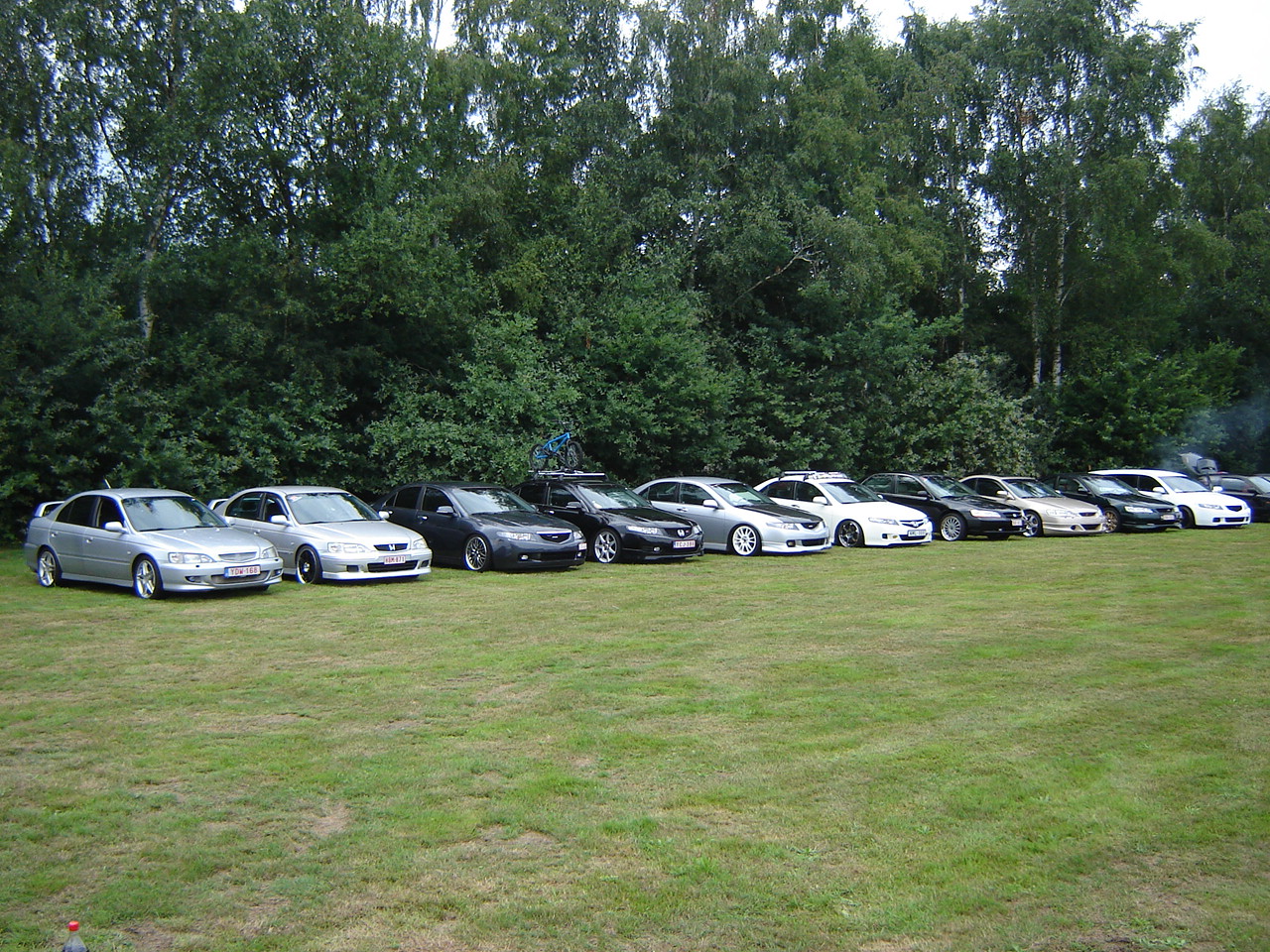 DSC09513.JPG