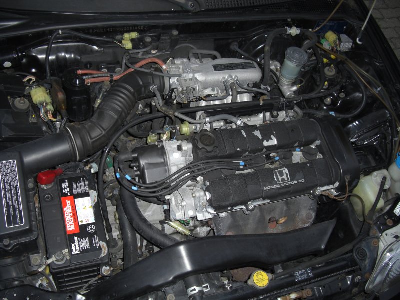 ed9_04.jpg