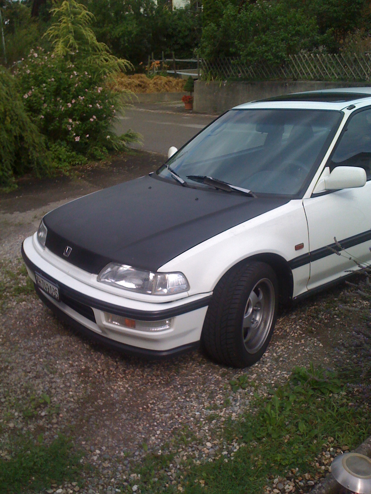 Front.jpg