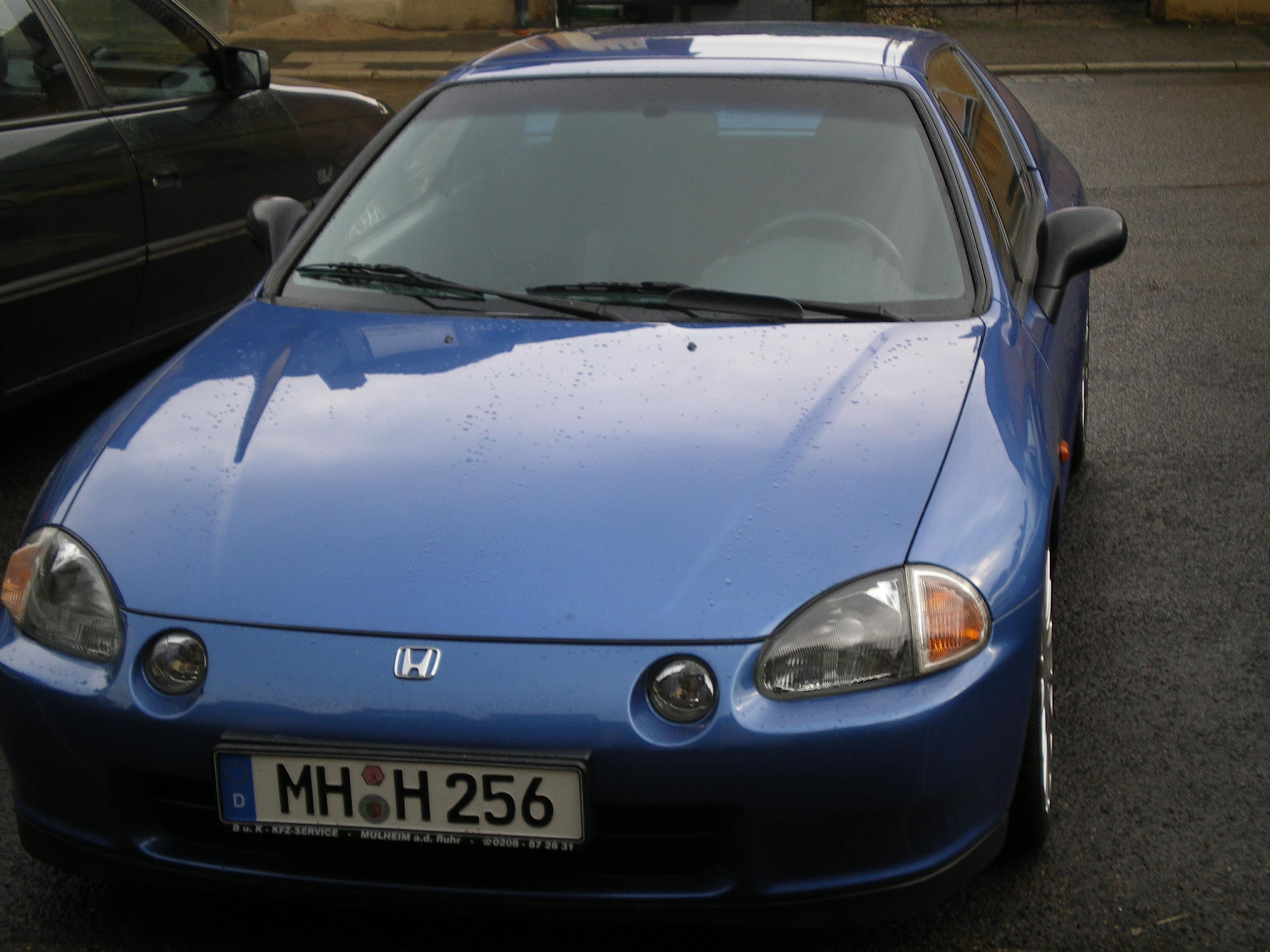 IMGP0797.JPG