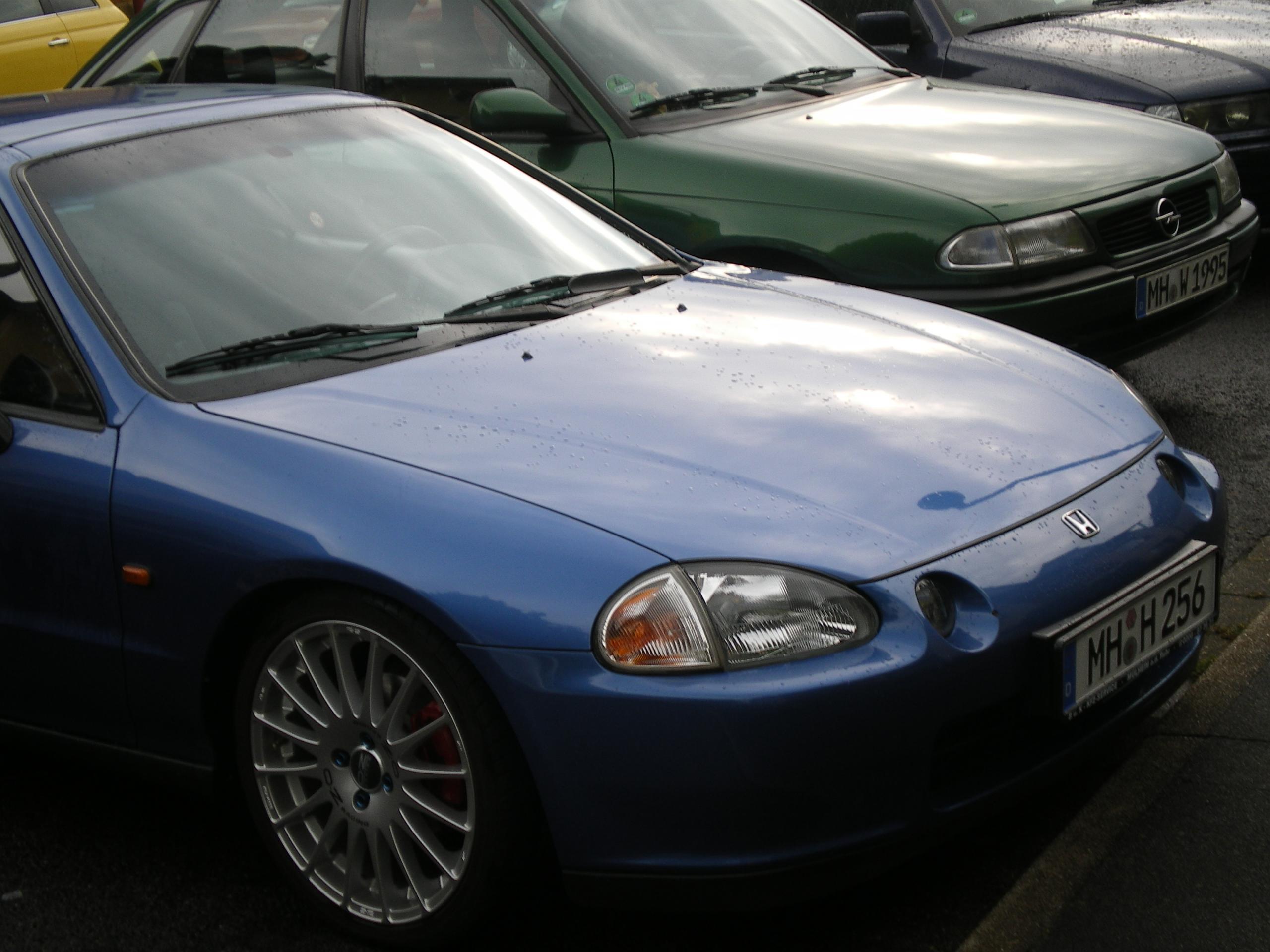 IMGP0798.JPG