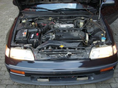 crx (30).JPG