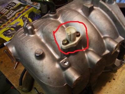 IMGP8098.JPG