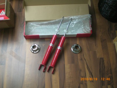 Koni 1.JPG