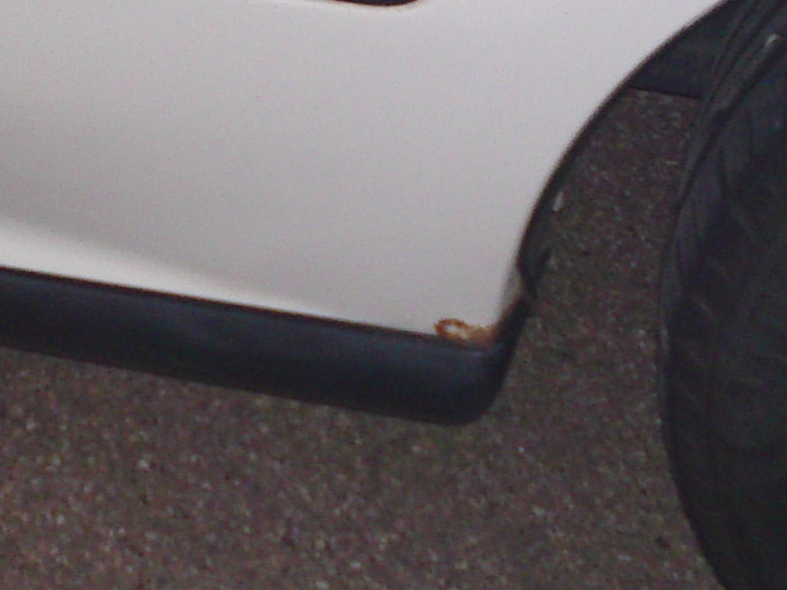02092010193.JPG