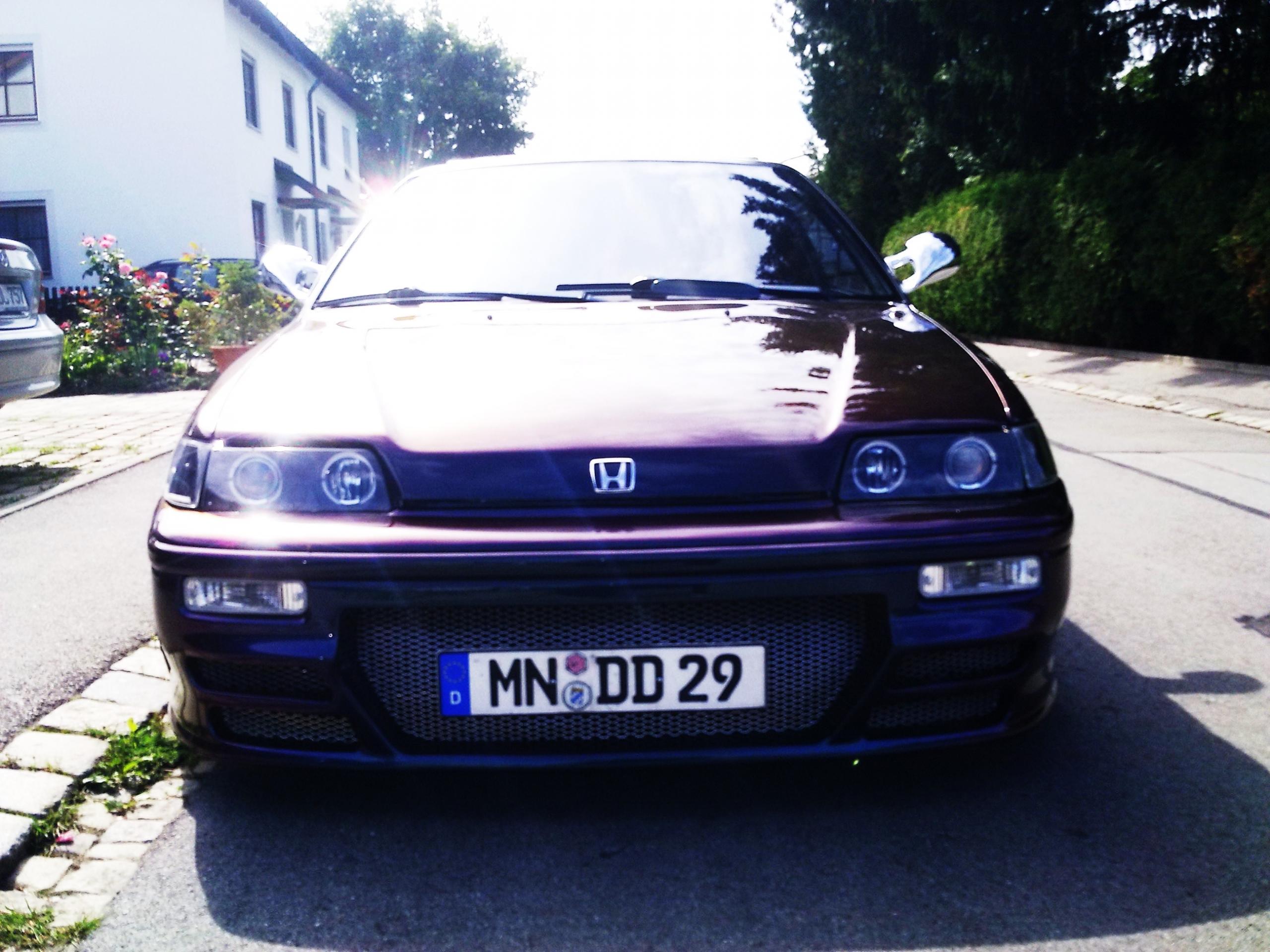 Bild0303.jpg