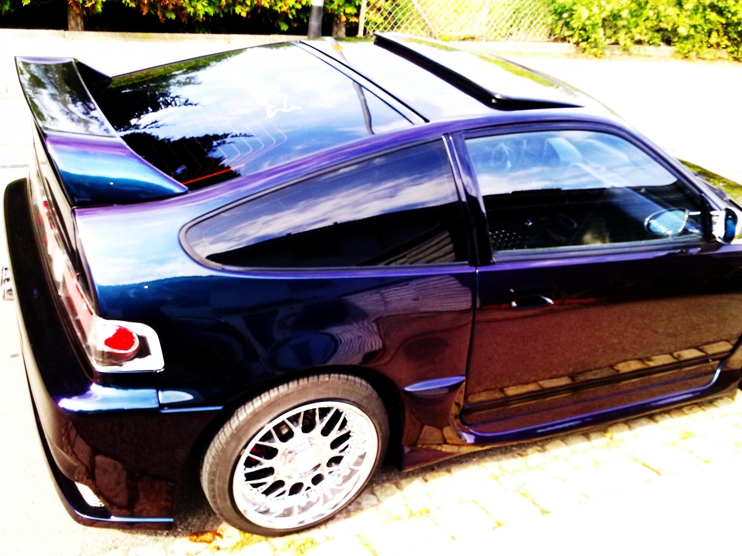 Bild0308.jpg
