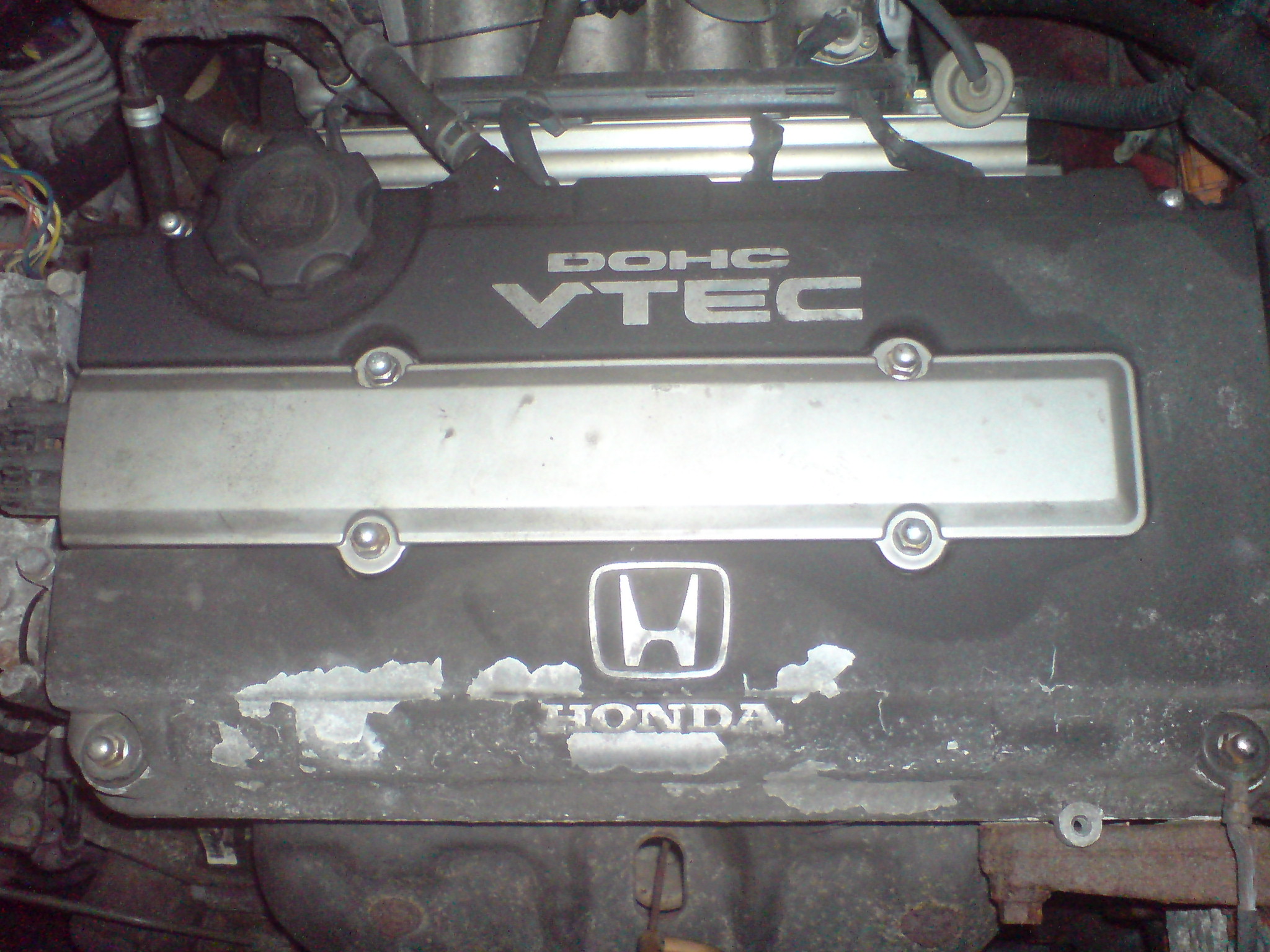 DSC03042.JPG
