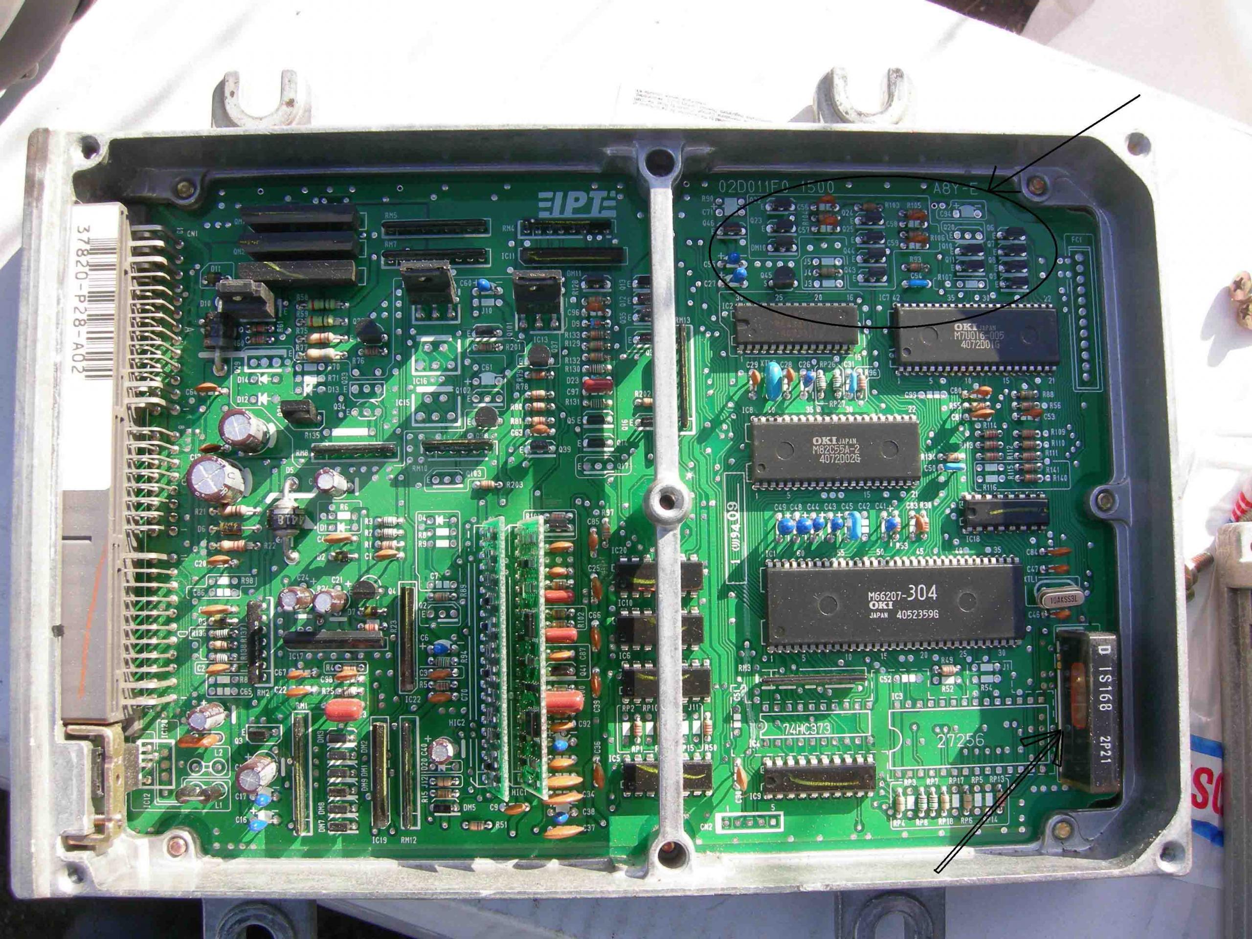 P28_2.jpg