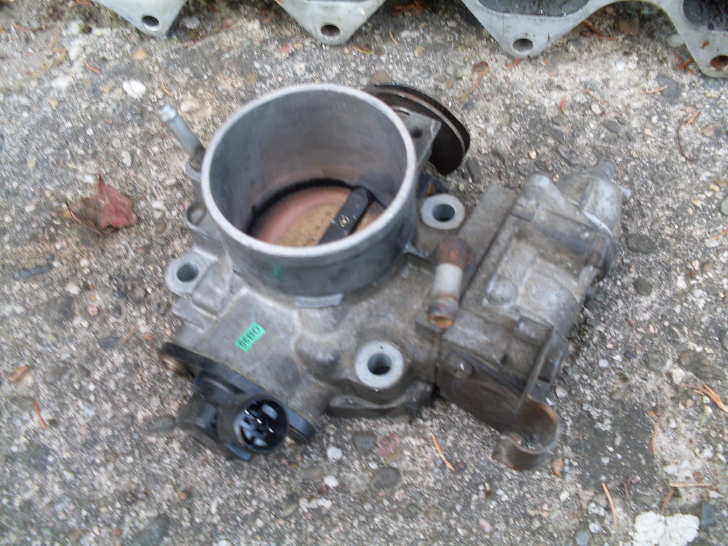 SDC11672.JPG