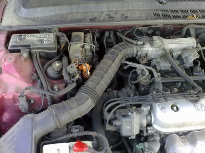 12092010097.jpg