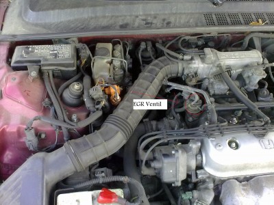 12092010097.jpg