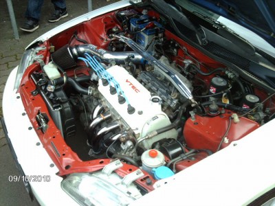 d16z6 002.jpg