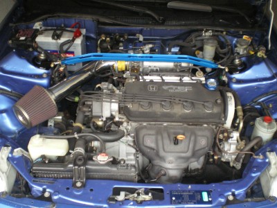 IMGP0800.JPG
