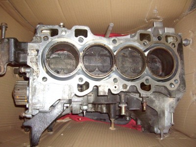 IMGP7466.JPG