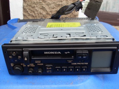 SL382446.JPG