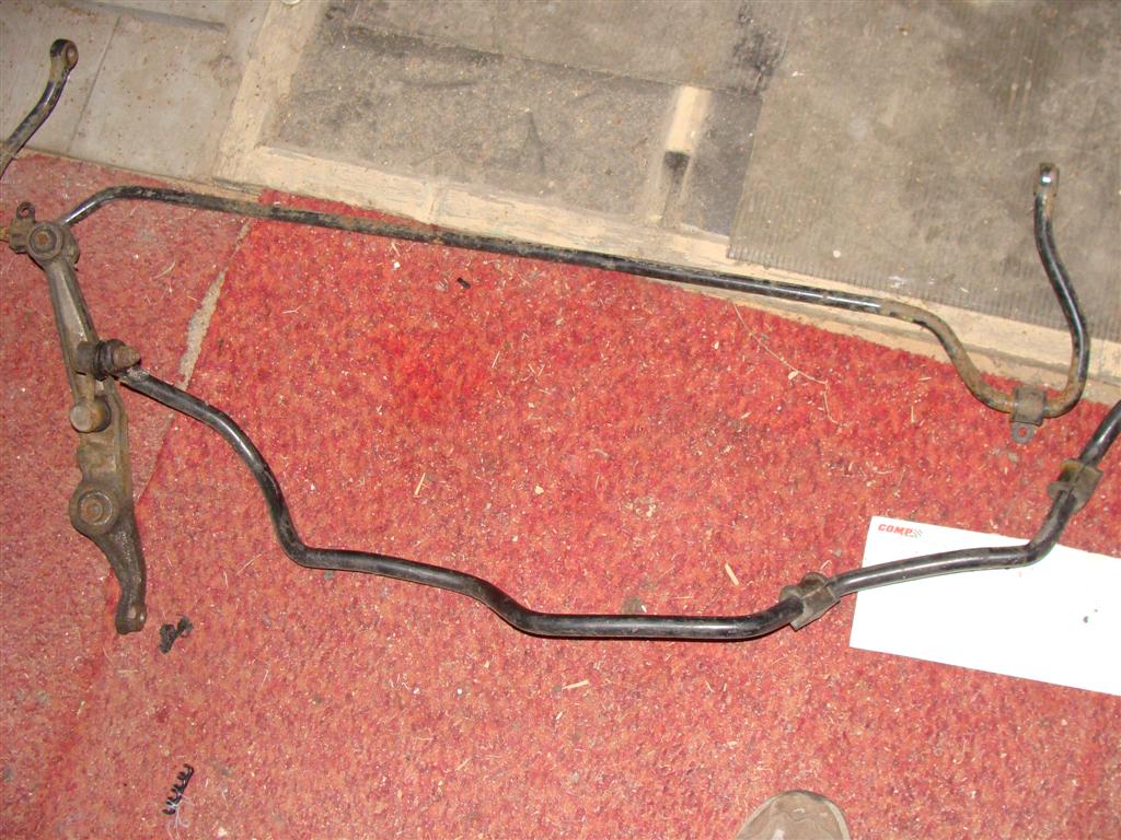 DSC03742 (Large).JPG