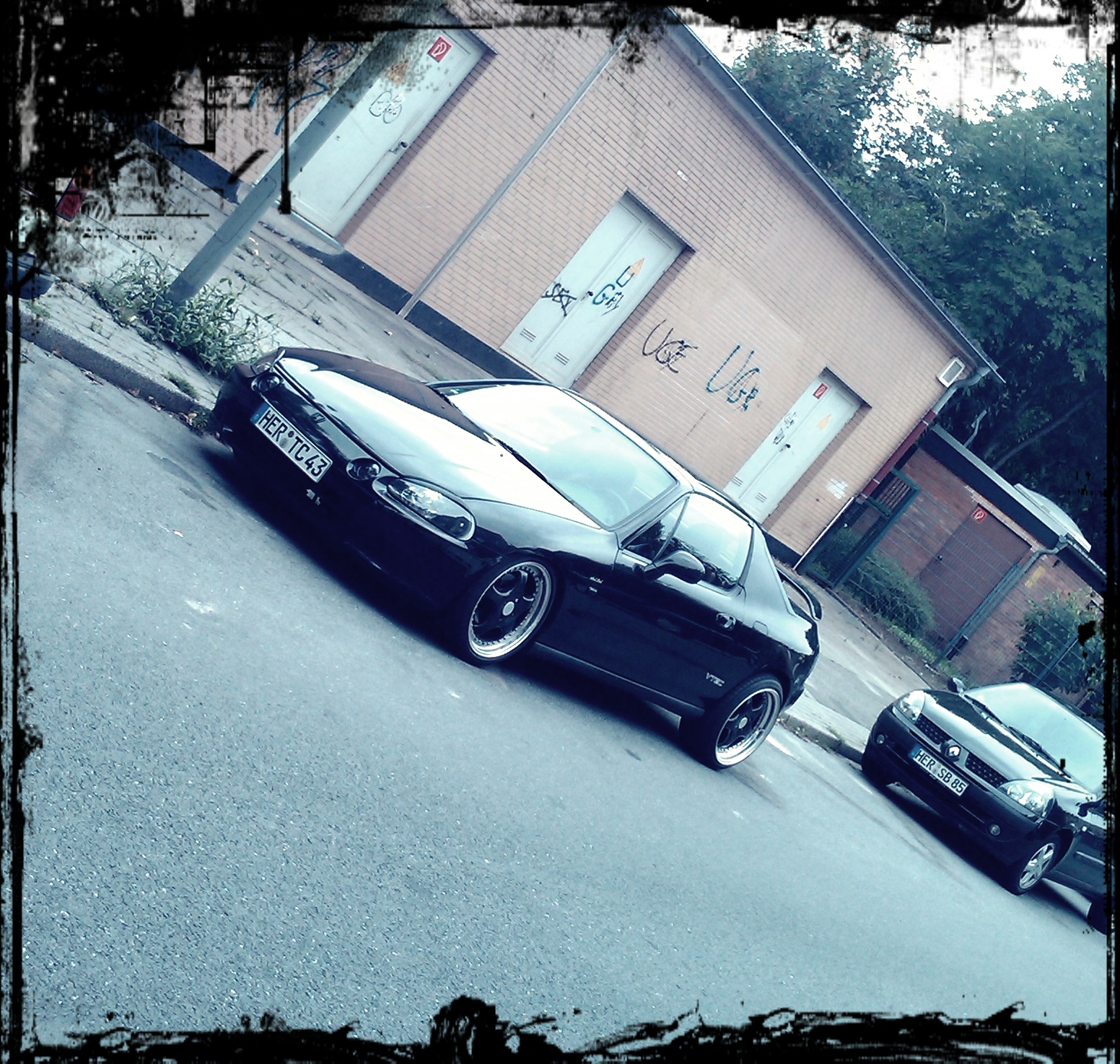 IMAG00977.jpg