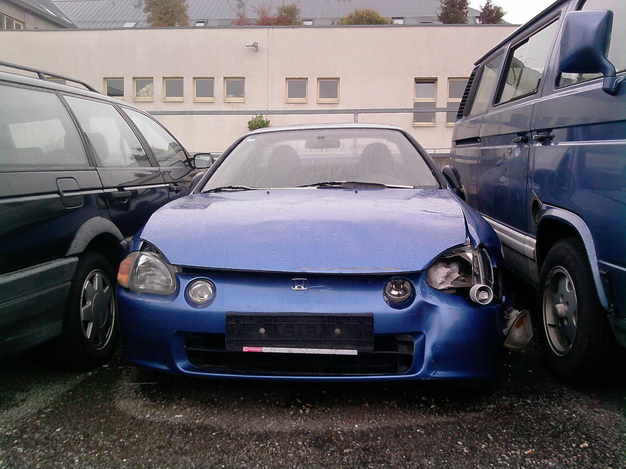 P300910_17.51_[01].jpg