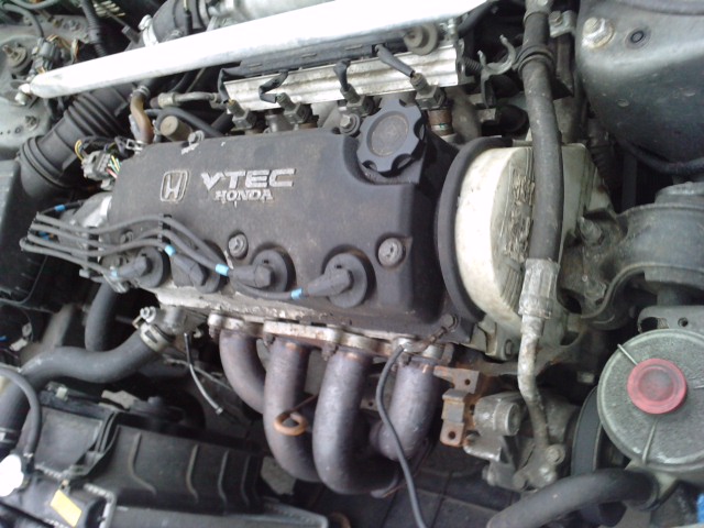 P301010_15.180001.JPG