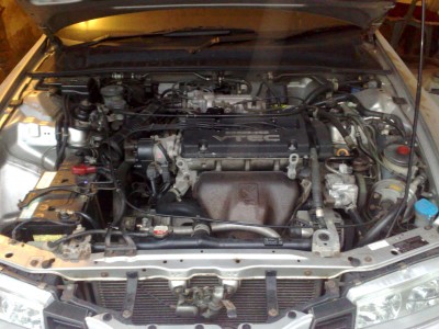 06082010380.jpg