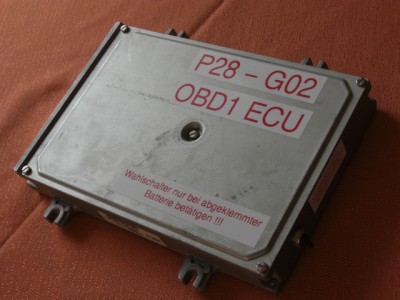 CIMG3740.JPG