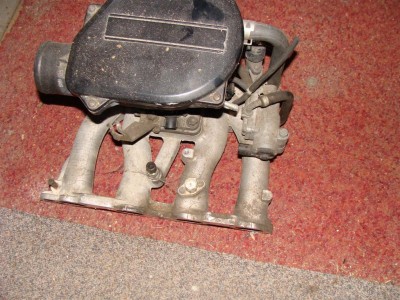 DSC03715 (Large).JPG